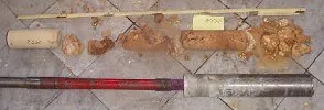 Microcarotaggi